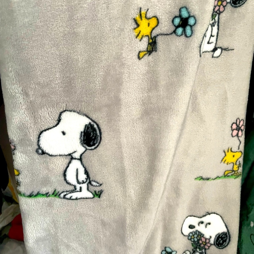 Beautiful Snoopy Easter/Spring throw - Picture 5 of 5